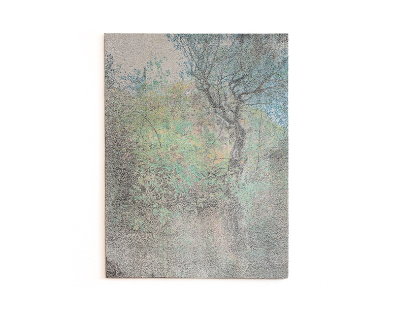 passing by (2012), photographic work by Nobuhiko Murayama