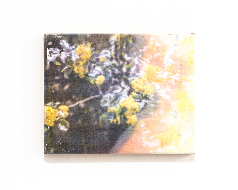 untitled (2020), photographic work by Nobuhiko Murayama