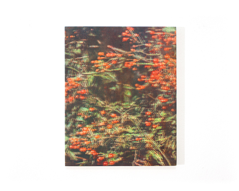 red berry (2022), photographic work by Nobuhiko Murayama