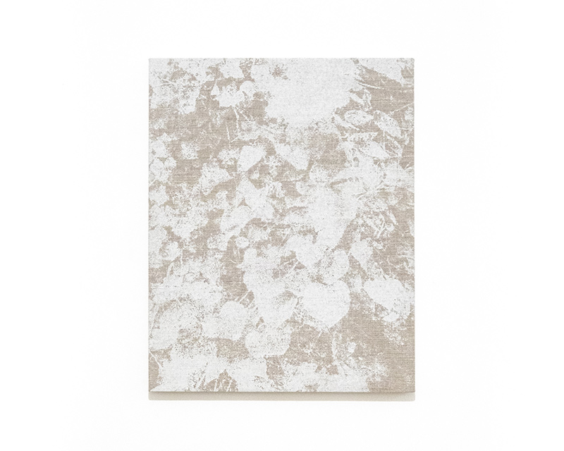 untitled (2025), photographic work by Nobuhiko Murayama